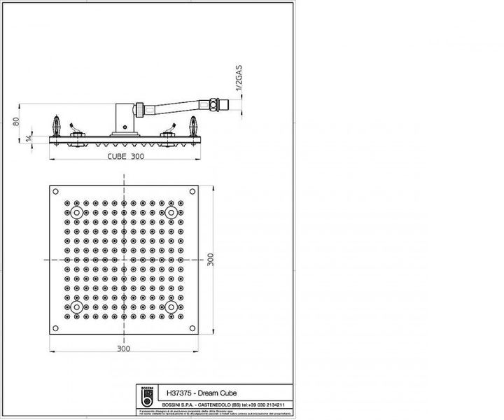 Верхній душ Bossini Dream Cube Light 300х300 мм H37375 фото