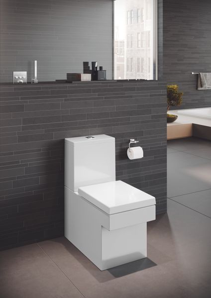 Сидіння для унітазу Grohe Cube Ceramic 39488000 39488000 фото
