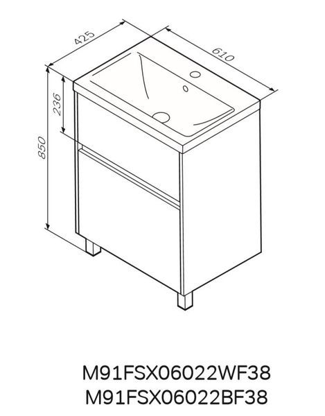 Тумба з раковиною підлогова 60 см, 2 шухляди AM.PM Gem S M91-FSX0602-WC0602WF38 M91-FSX0602-WC0602WF38 фото